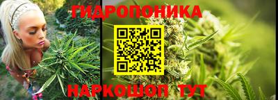 a pvp Кандалакша