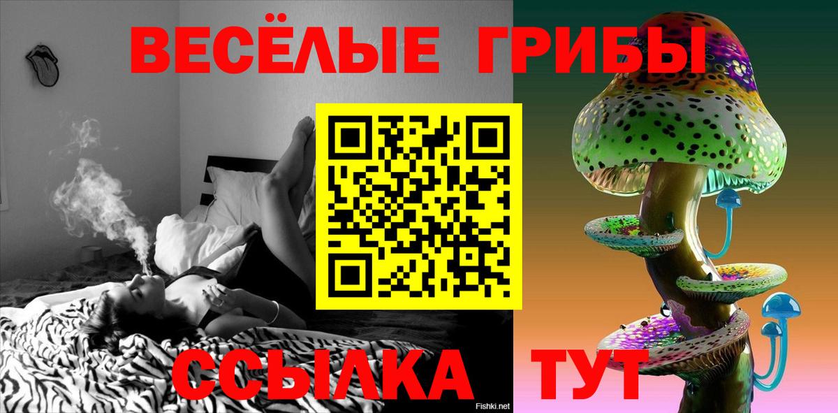 Псилоцибиновые грибы Psilocybine cubensis Краснокаменск
